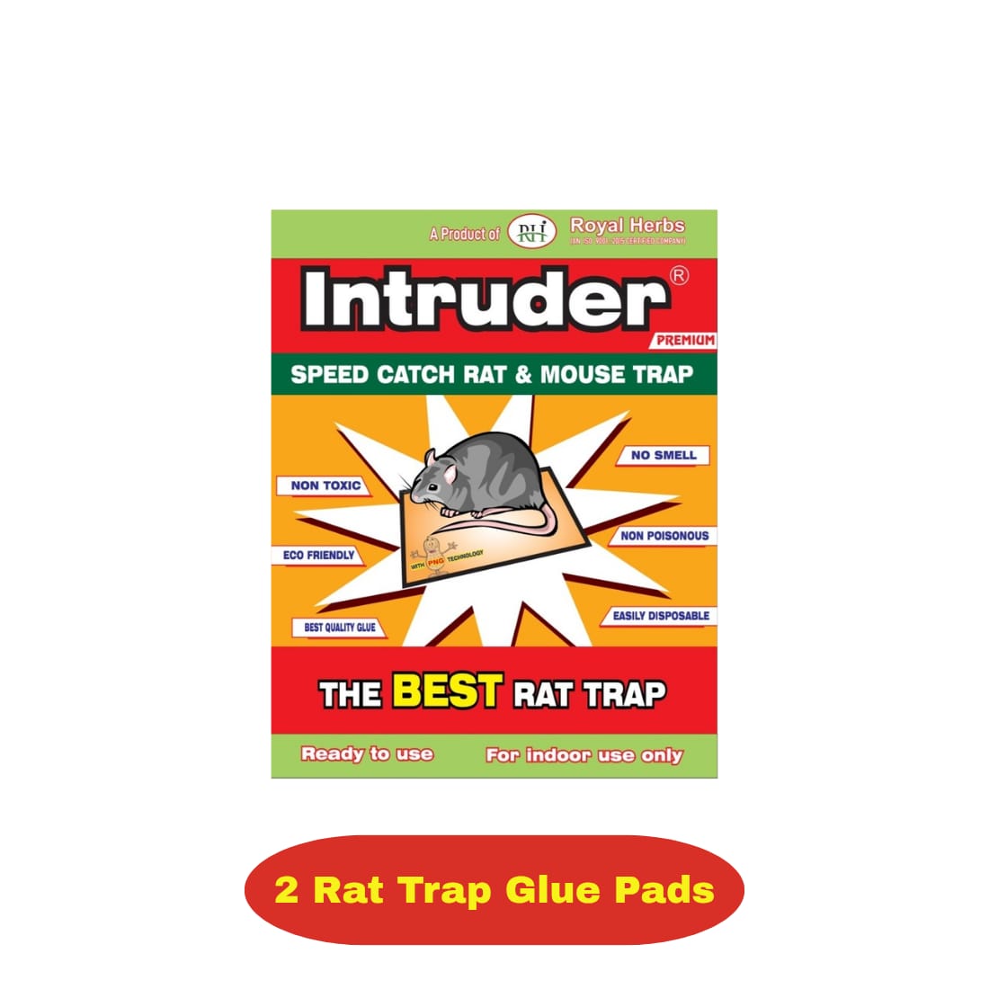 Intruder Rat Pad Glue Trap Economy Small – Twin Pack | Premium Non-Toxic Mouse & Rat Catcher