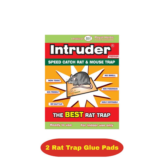Intruder Rat Pad Glue Trap Economy Small – Twin Pack | Premium Non-Toxic Mouse & Rat Catcher