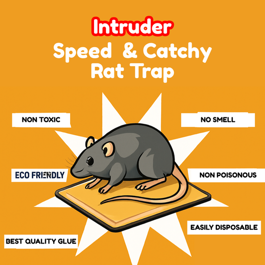 Intruder Rat Pad Glue Trap Economy Small – Twin Pack | Premium Non-Toxic Mouse & Rat Catcher